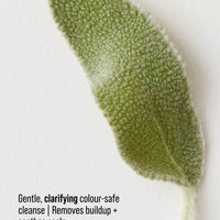 RENEW Clarifying Shampoo 1L Refill