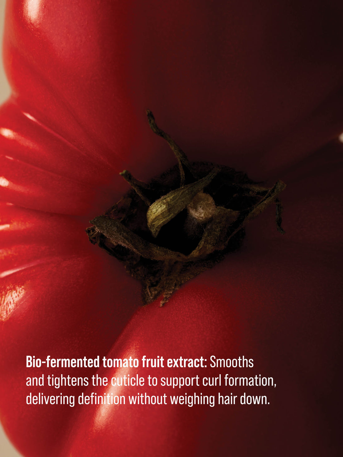 CURL THRIVE Curl Hydrating Conditioner